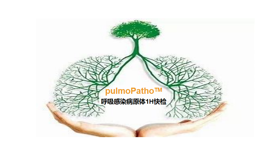 pulmoPatho，呼吸感染病原谱