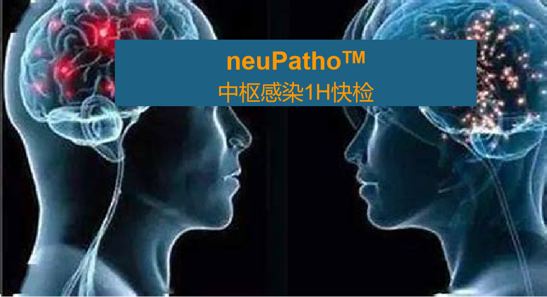 neuPatho，中枢感染病原谱