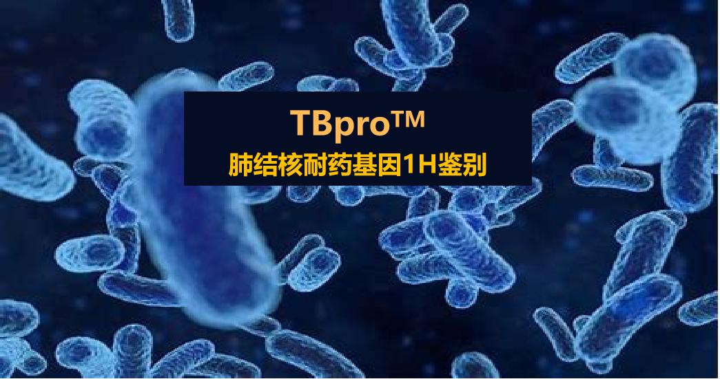 TBpro，结核菌耐药谱